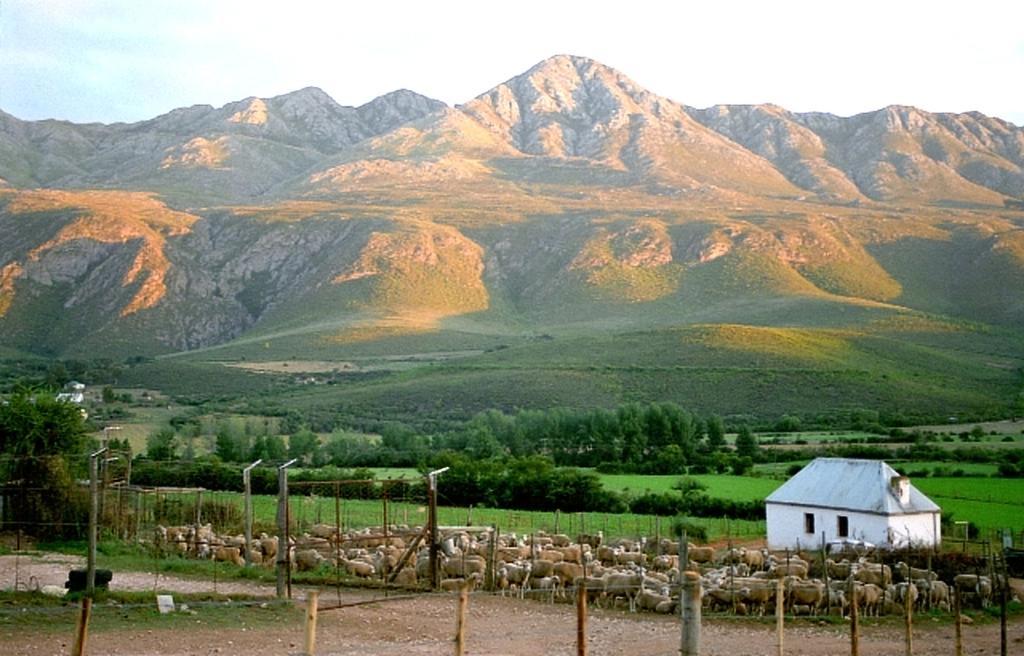 Hostal Swartberg Country Manor Matjiesrivier  Exterior foto